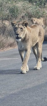 1_WhatsApp-Image-2023-07-24-at-21.17.55