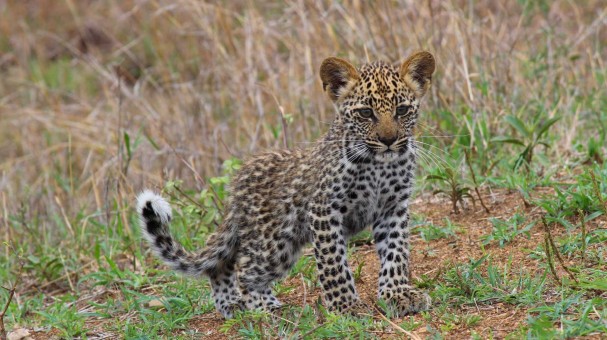 278305430_149352747583336_4379082392915812533_n