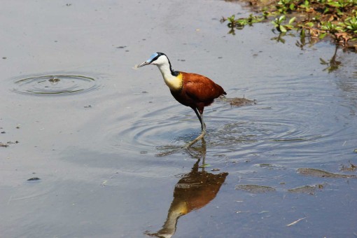 278438989_151261137392497_9193843197839506300_n