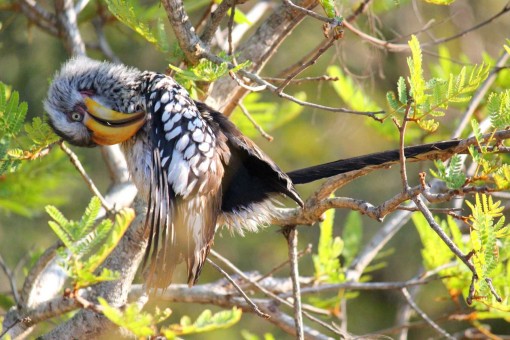 278708748_151261727392438_1337806813305059549_n