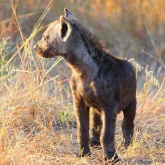 278900369_153106620541282_3322956270841160430_n