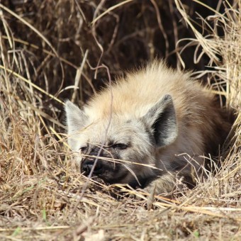 279018386_153106630541281_6729866306208949021_n