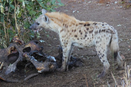 289356920_165808079271136_1448199199431084709_n