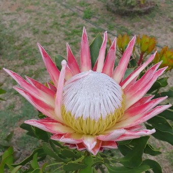 293754895_171278448724099_9085062831597038488_n