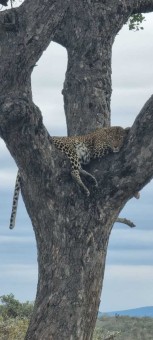 WhatsApp-Image-2023-07-24-at-21.17.51