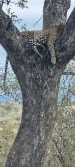 WhatsApp-Image-2023-07-24-at-21.17.55