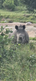 WhatsApp-Image-2023-07-24-at-21.18.00