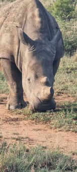 WhatsApp-Image-2023-07-24-at-21.18.02