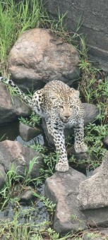 WhatsApp-Image-2023-07-24-at-21.18.03