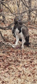 WhatsApp-Image-2023-07-24-at-21.18.04